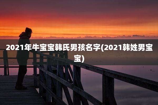 2021年牛宝宝韩氏男孩名字(2021韩姓男宝宝)