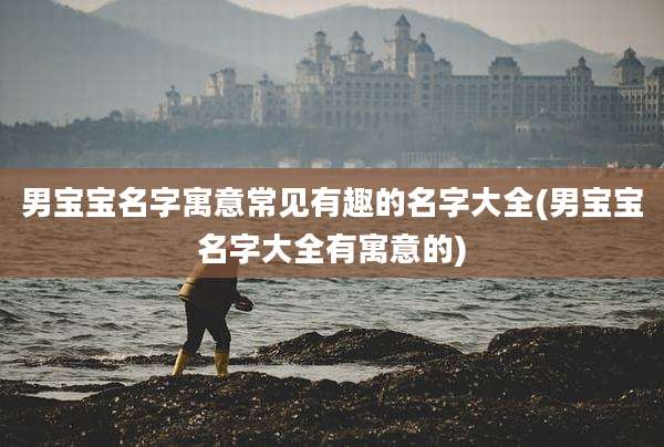 男宝宝名字寓意常见有趣的名字大全(男宝宝名字大全有寓意的)