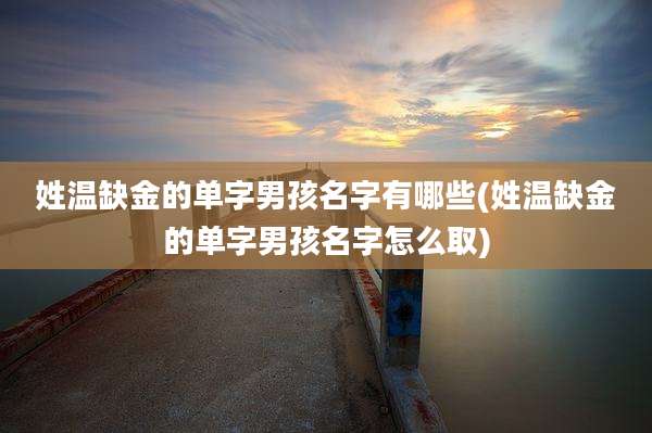 姓温缺金的单字男孩名字有哪些(姓温缺金的单字男孩名字怎么取)