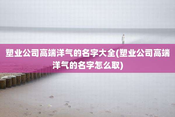 塑业公司高端洋气的名字大全(塑业公司高端洋气的名字怎么取)
