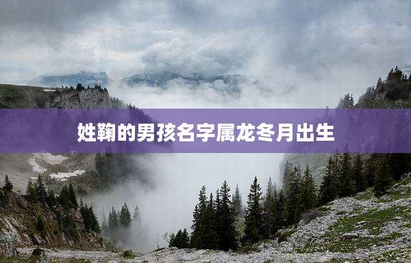 姓鞠的男孩名字属龙冬月出生