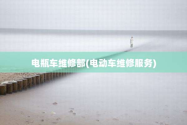 电瓶车维修部(电动车维修服务)