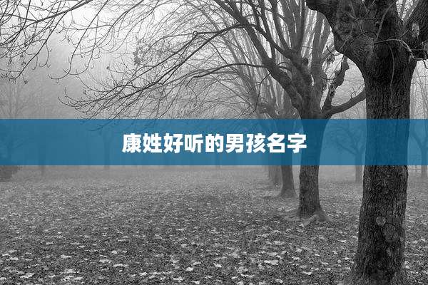 康姓好听的男孩名字