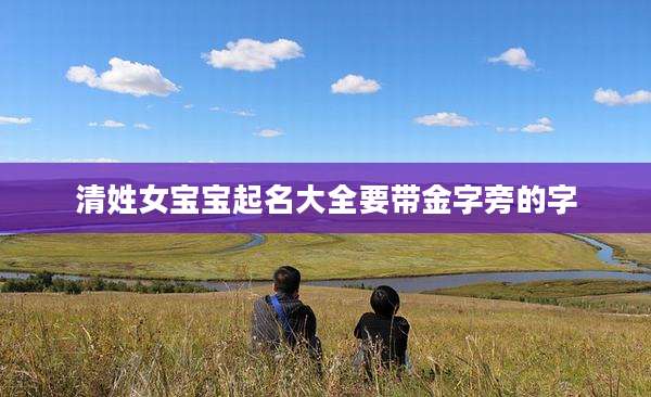清姓女宝宝起名大全要带金字旁的字