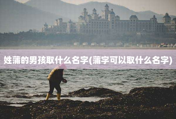 姓蒲的男孩取什么名字(蒲字可以取什么名字)
