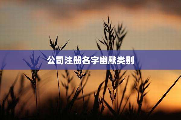 公司注册名字幽默类别