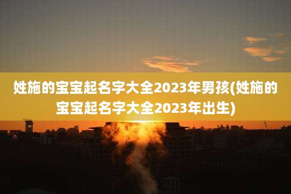 姓施的宝宝起名字大全2023年男孩(姓施的宝宝起名字大全2023年出生)