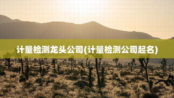 计量检测龙头公司(计量检测公司起名)