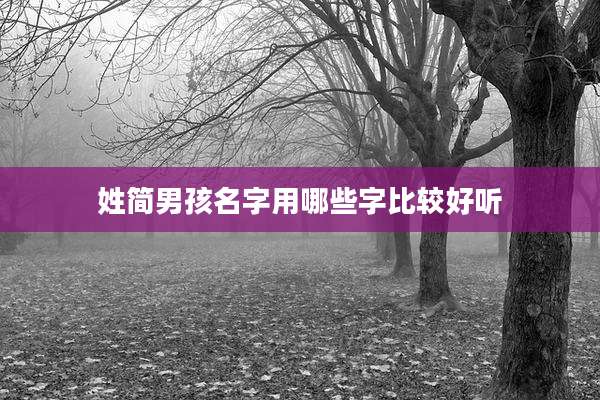 姓简男孩名字用哪些字比较好听