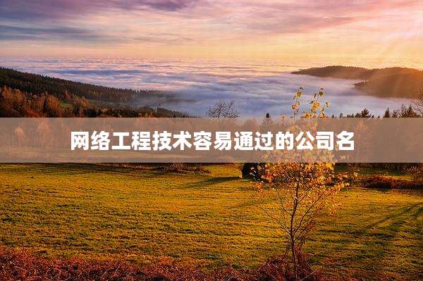 网络工程技术容易通过的公司名