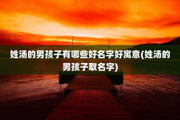 姓汤的男孩子有哪些好名字好寓意(姓汤的男孩子取名字)