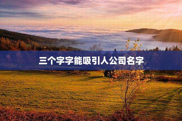 三个字字能吸引人公司名字
