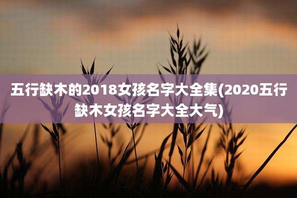 五行缺木的2018女孩名字大全集(2020五行缺木女孩名字大全大气)