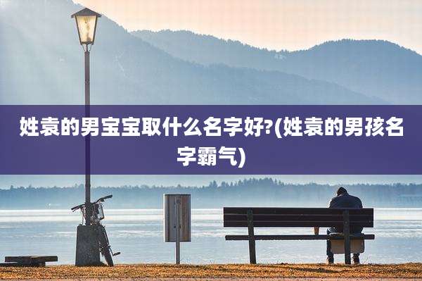 姓袁的男宝宝取什么名字好?(姓袁的男孩名字霸气)