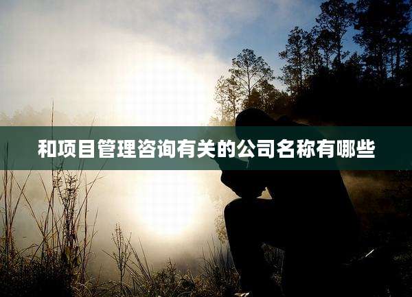 和项目管理咨询有关的公司名称有哪些