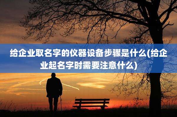 给企业取名字的仪器设备步骤是什么(给企业起名字时需要注意什么)