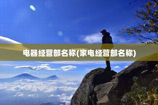 电器经营部名称(家电经营部名称)