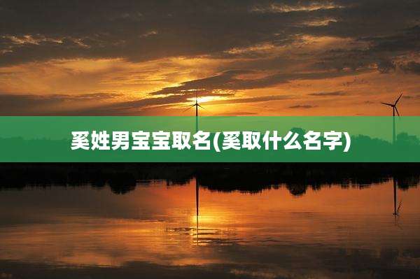 奚姓男宝宝取名(奚取什么名字)