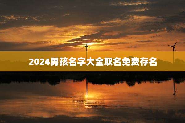 2024男孩名字大全取名免费存名