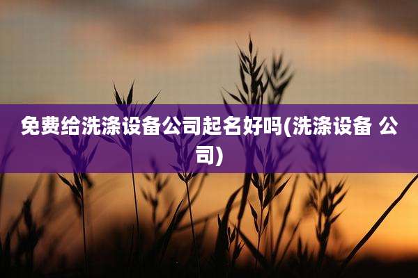 免费给洗涤设备公司起名好吗(洗涤设备 公司)