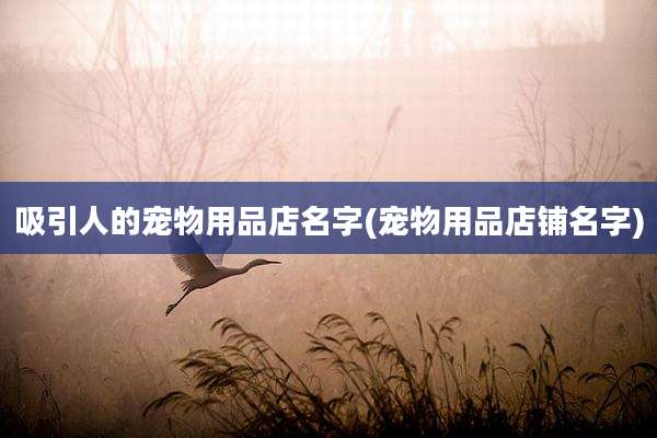 吸引人的宠物用品店名字(宠物用品店铺名字)