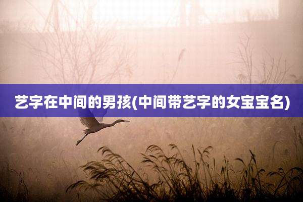 艺字在中间的男孩(中间带艺字的女宝宝名)