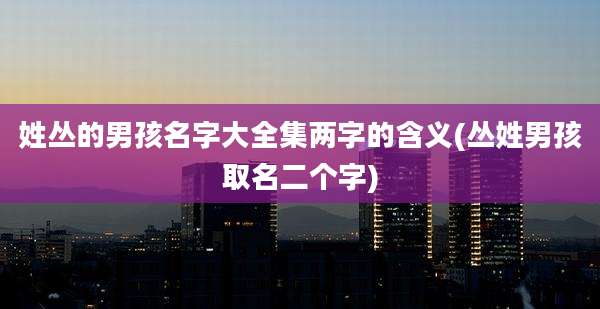 姓丛的男孩名字大全集两字的含义(丛姓男孩取名二个字)