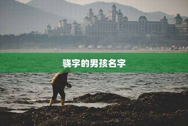 骁字的男孩名字