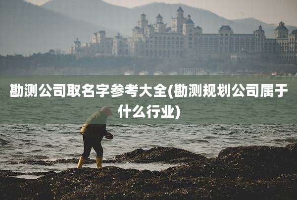 勘测公司取名字参考大全(勘测规划公司属于什么行业)