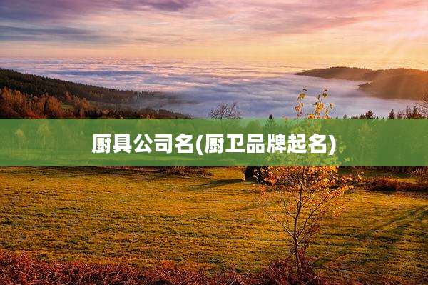 厨具公司名(厨卫品牌起名)