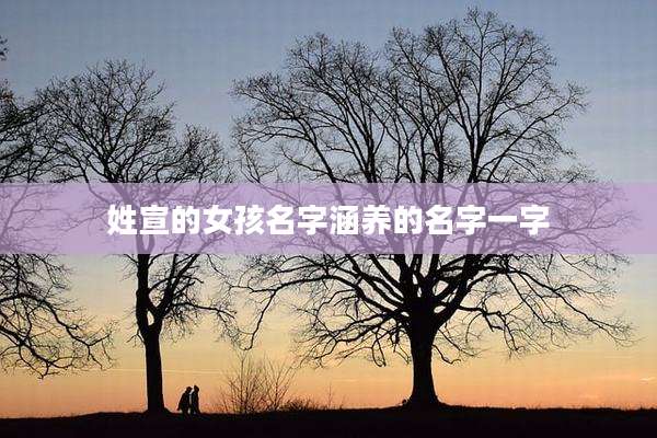 姓宣的女孩名字涵养的名字一字