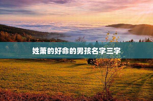 姓萧的好命的男孩名字三字