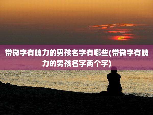 带微字有魄力的男孩名字有哪些(带微字有魄力的男孩名字两个字)
