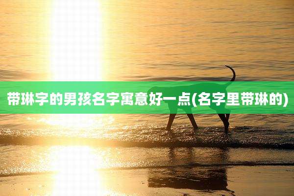 带琳字的男孩名字寓意好一点(名字里带琳的)