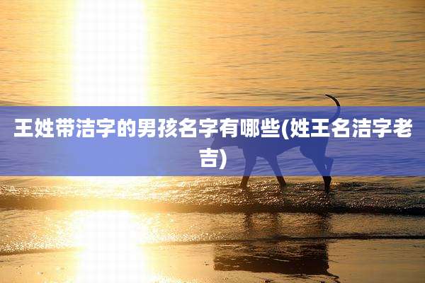 王姓带洁字的男孩名字有哪些(姓王名洁字老吉)