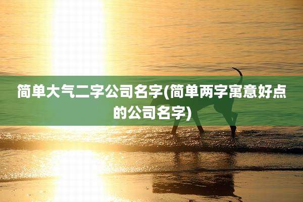 简单大气二字公司名字(简单两字寓意好点的公司名字)