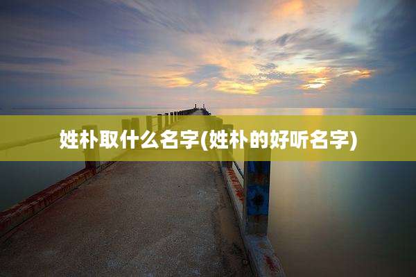 姓朴取什么名字(姓朴的好听名字)