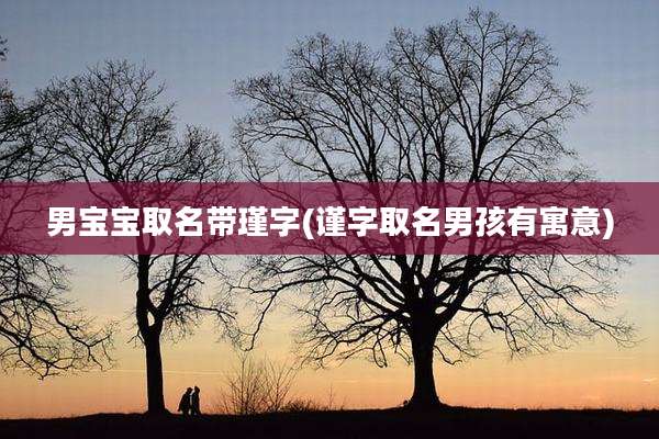 男宝宝取名带瑾字(谨字取名男孩有寓意)