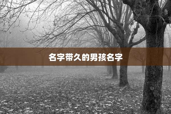 名字带久的男孩名字