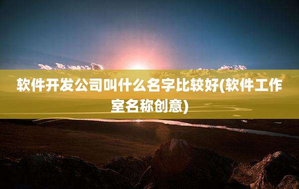 软件开发公司叫什么名字比较好(软件工作室名称创意)