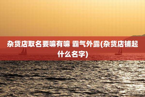 杂货店取名要嘛有嘛 霸气外露(杂货店铺起什么名字)