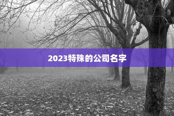 2023特殊的公司名字