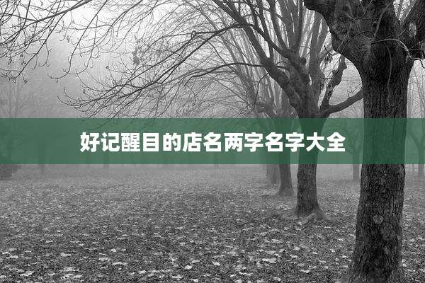 好记醒目的店名两字名字大全