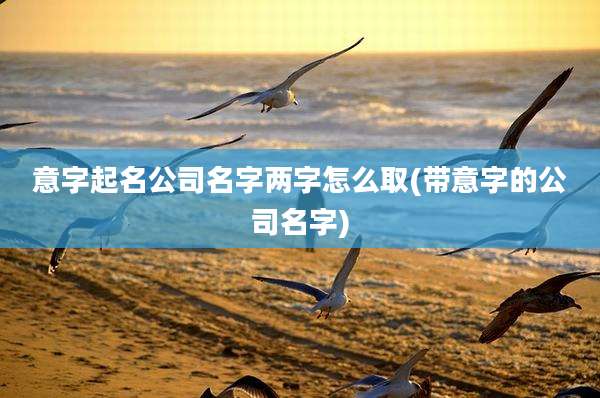 意字起名公司名字两字怎么取(带意字的公司名字)