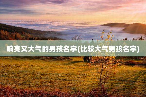 响亮又大气的男孩名字(比较大气男孩名字)