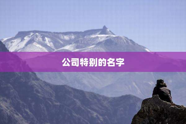 公司特别的名字