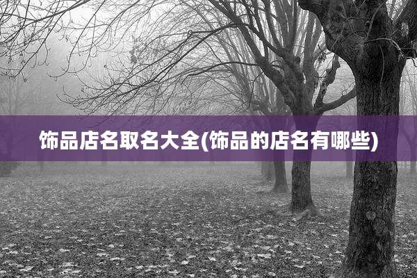 饰品店名取名大全(饰品的店名有哪些)