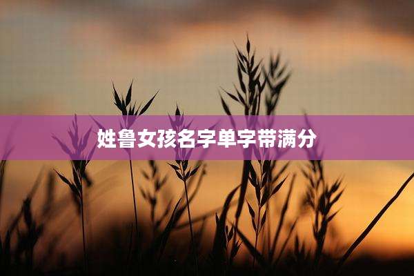 姓鲁女孩名字单字带满分
