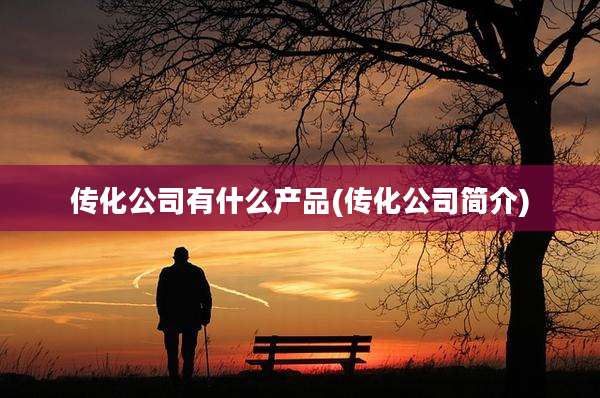 传化公司有什么产品(传化公司简介)