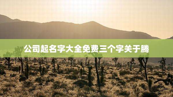 公司起名字大全免费三个字关于腾